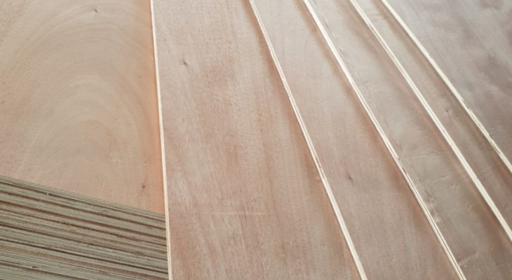 Cung cấp ván ép bao bì tại Đồng Nai